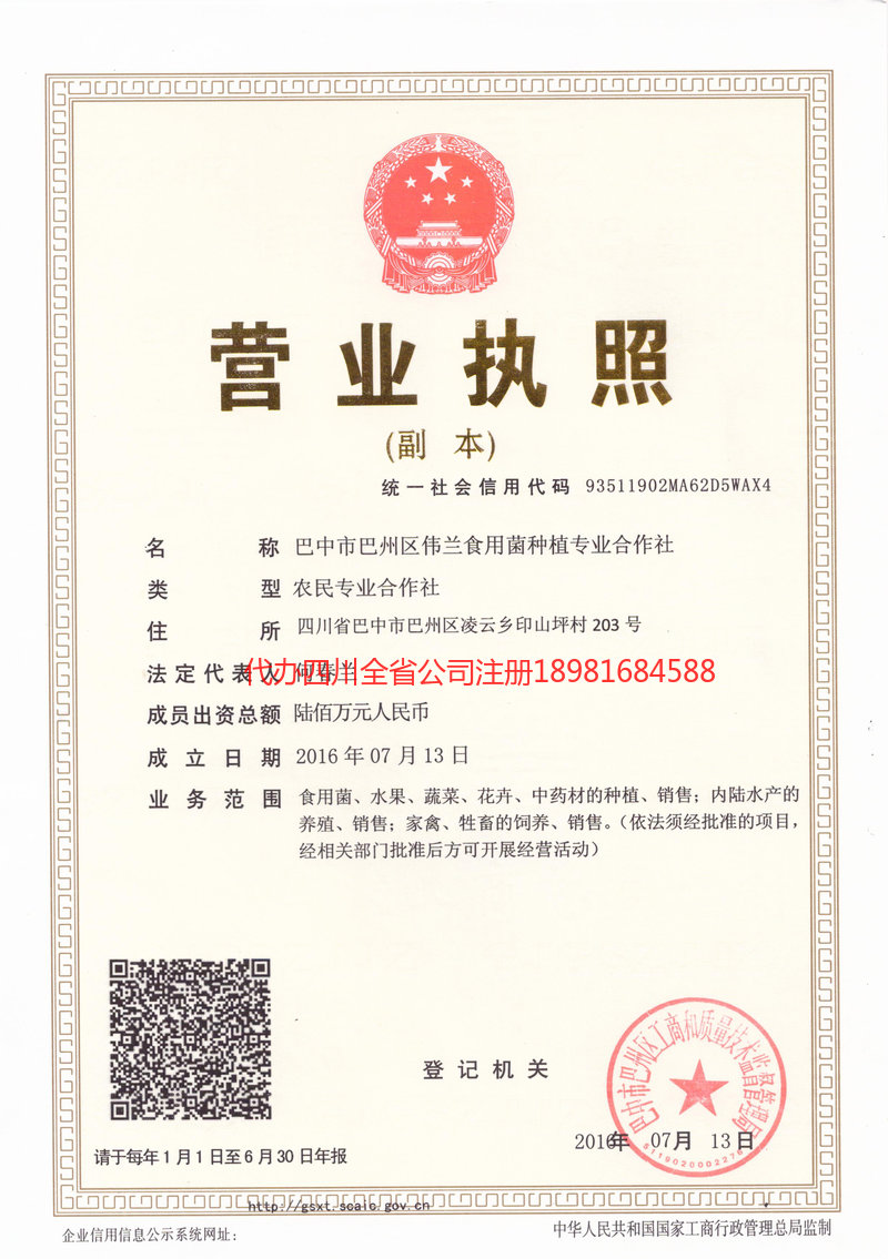 蓬溪蓬溪伟兰食用菌种植专业合作社